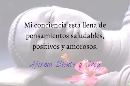 11880679_890340534392942_8966154392340534683_n